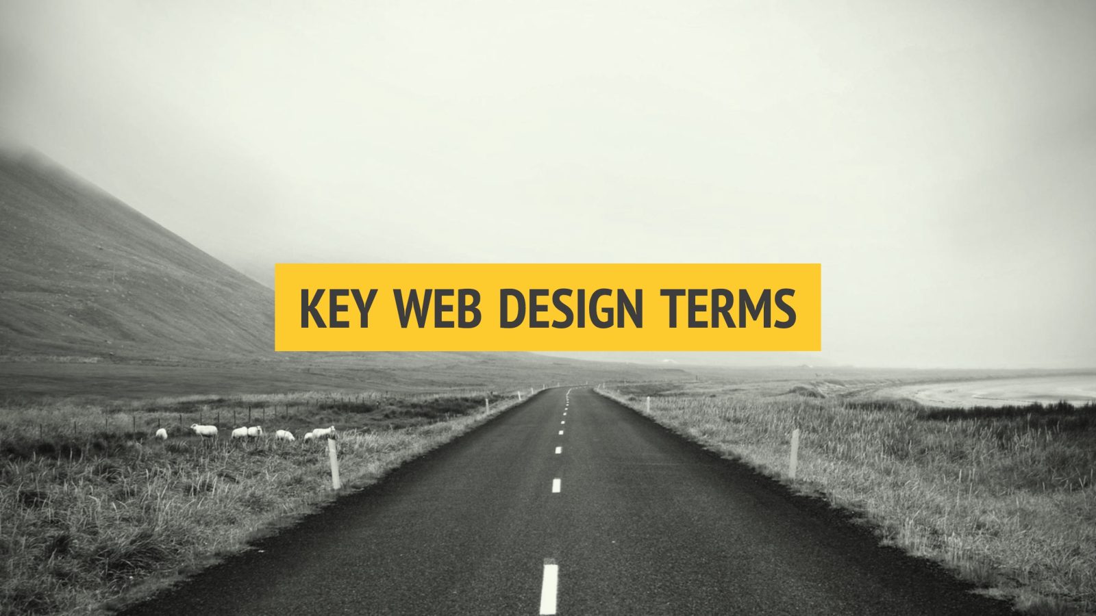 key-web-design-terms