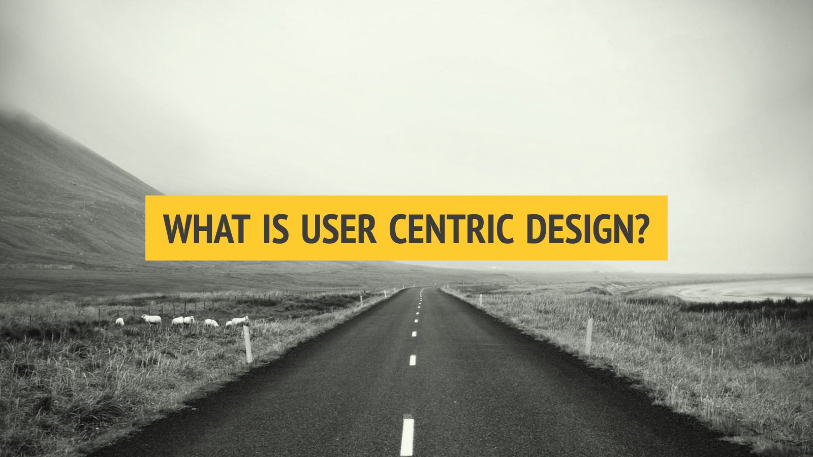 what-is-user-centric-design